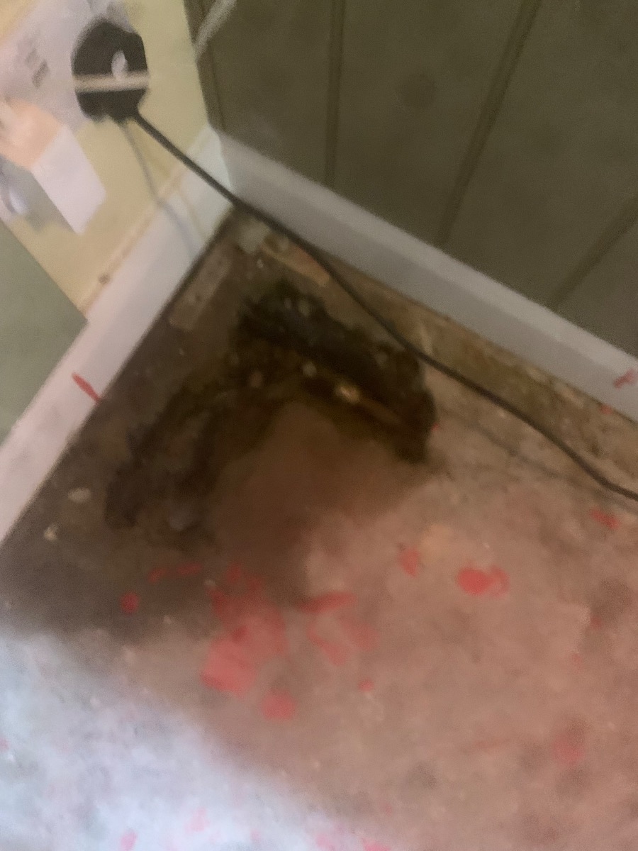Plumber: Image 4